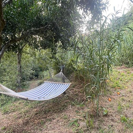 Nascente, Place In Nature Next To A Waterfall Loureiro  Dış mekan fotoğraf