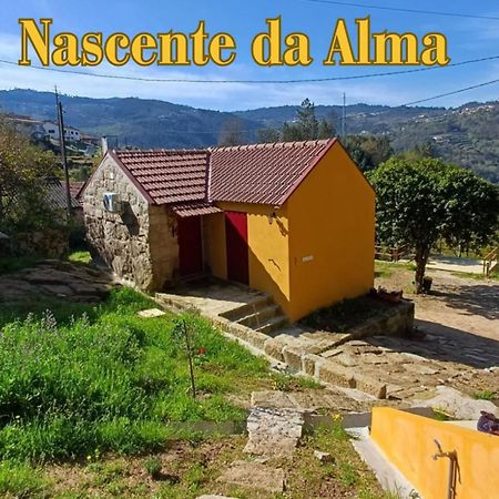 Nascente, Place In Nature Next To A Waterfall Loureiro  Dış mekan fotoğraf
