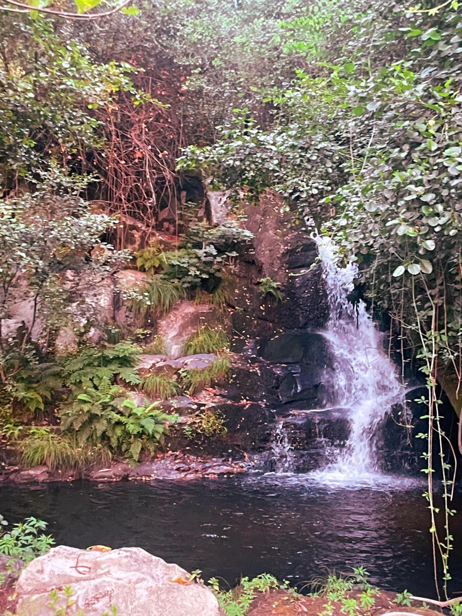 Nascente, Place In Nature Next To A Waterfall Loureiro  Dış mekan fotoğraf